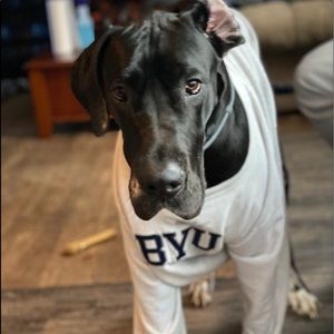 Meet your Posher, Mitchell